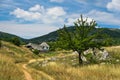 Small path through Pester countryside landscape Royalty Free Stock Photo