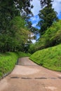 The small path between the trees, path leads to the lake