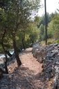 Small path trough forest with drywall and trees. Wilderness. Island Brac, Croatia.