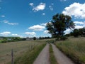 Small path with village in background in idyllic nature with blue sky and a tree Royalty Free Stock Photo