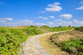 small path way in the park at cape Zanpa at Okinawa Royalty Free Stock Photo