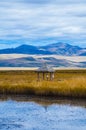 Small pavilion on the lake.