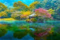 A small pavilion on small island in middle of lake