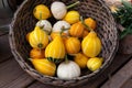 Small pear-shaped pumpkins in the basket