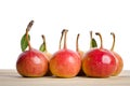 Small pears and leaves in a grouping Royalty Free Stock Photo