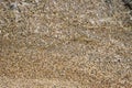 Small pebbles and sand seabed background texture under clear shallow sea water, top view
