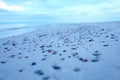 Small pebbles on a sandy beach. Royalty Free Stock Photo