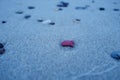 Small pebbles on a sandy beach. Royalty Free Stock Photo