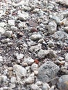 Small pebbles scattered on the ground