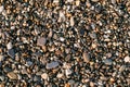Small pebbles on the seashore Royalty Free Stock Photo