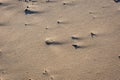 Small pebbles and shadows on a sandy beach Royalty Free Stock Photo