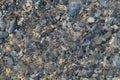 Small pebbles and wet sand on the sea beach; water line. Calm transparent water Royalty Free Stock Photo