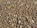 Small pebbles on wet sand on a Sunny day, can be the background