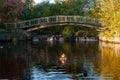 A small pedestrian bridge over the river with ducks