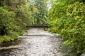 A small pedestrian bridge over river Eachaig in Benmore Botanic Garden, Scotland