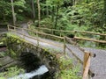Small pedestrian bridges over the Giessbach stream and between the waterfalls Giessbach Falls / GiessbachfÃÂ¤lle or Giessbachfaelle