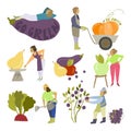 Small people and big vegetables fruits. Funny gardening. Go green slogan Royalty Free Stock Photo