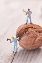 Small people split the walnut. The concept of cooking Royalty Free Stock Photo