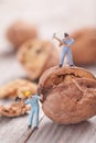 Small people split the walnut. The concept of cooking Royalty Free Stock Photo