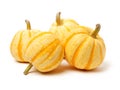 Small perfect shape ribbed pumpkin with orange stripes for Halloween decoration