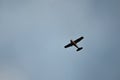 small personal plane flying on clear blue day