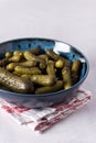 Small pickled cucumbers Traditional recipe served in a ceramic bowl gherkins gray background Royalty Free Stock Photo
