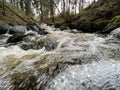 small picturesque forest river day shot Royalty Free Stock Photo