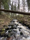 Small picturesque forest river day shot Royalty Free Stock Photo