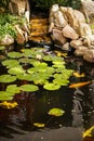 Small picturesque garden with a pond, water lilies and stones Royalty Free Stock Photo