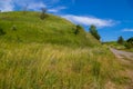 A small picturesque hillock covered with green grass and rare bushes with the country road below.