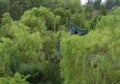 Chinease Roof in the nature Pairi Daiza