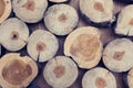 Small piece of wood logs used for design decorated interior