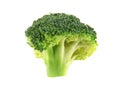 small pieces of broccoli isolated on white background with clipping path Royalty Free Stock Photo