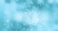 Small pieces of ice on light blue background. Texture of shattered glass. Royalty Free Stock Photo