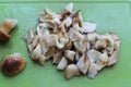 Small pieces of mushrooms. Russia.