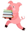 Small pig animal carrying book, school character vector