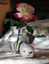 Small piggy bank with twenty dollars and a beautiful rose in the background Royalty Free Stock Photo