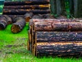 Small pile of cut tree trunks in the liesbos forest of breda, The Netherlands Royalty Free Stock Photo
