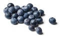 A small pile of fresh juicy blueberries isolated on white. Royalty Free Stock Photo