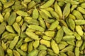 Small pile of green cardamon seeds Royalty Free Stock Photo