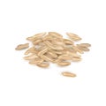 Small pile of long grain brown rice. Royalty Free Stock Photo