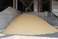 Small pile paddy in the rice mill. To wait to be polished to rice. Rice mill system. Rice Storage