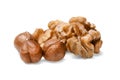 A small pile of peeled hazelnuts and walnuts. White isolated background. Close-up. Royalty Free Stock Photo