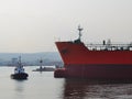 A small pilot ship leads a large red cargo ship at the seaport on a windless autumn day