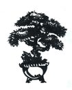 Small pine bonsai in the bowl.