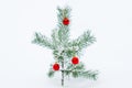 A small pine fir tree decorated as a Christmas tree in winter forest Royalty Free Stock Photo