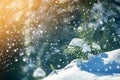 Small pine tree with green needles covered with deep fresh clean snow on blurred blue copy space background. Merry Christmas and Royalty Free Stock Photo