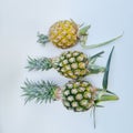 Small pineapple, ripe, sweet, crisp, delicious.  Can make food and desserts Royalty Free Stock Photo