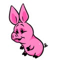 Small pink beautiful pig cartoon