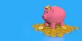Pink ceramic piggy bank with a crown on its head, standing on a pile of gold coins on a shiny blue surface. 3D Illustration